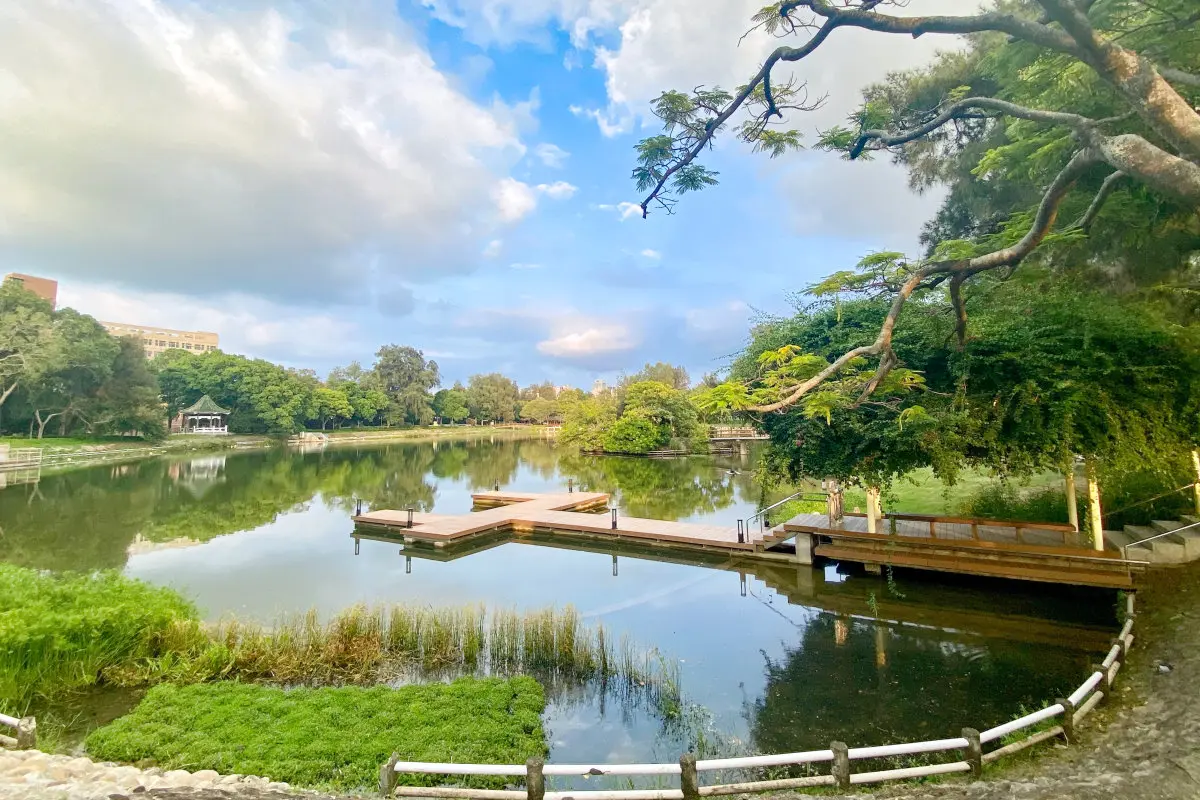 國藝清華大學_成功湖